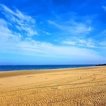 T2 35m2 Au Port D'arcachon Avec Balcon Et Parking Securise - Fr-1-420-28