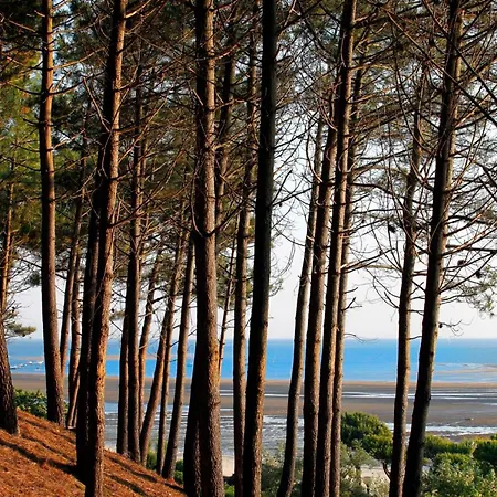 T2 35m2 Au Port D'arcachon Avec Balcon Et Parking Securise - Fr-1-420-28 Appartement Arcachon