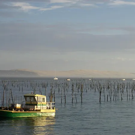 아파트 T2 35m2 Au Port D'arcachon Avec Balcon Et Parking Securise - Fr-1-420-28