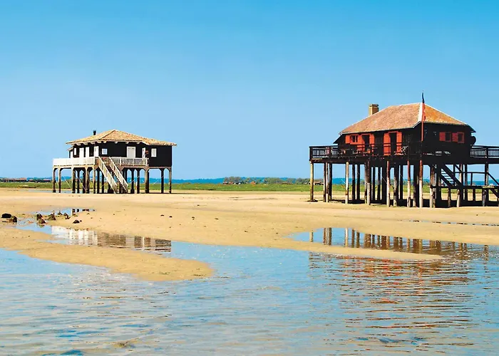 Διαμέρισμα T2 35m2 Au Port D'arcachon Avec Balcon Et Parking Securise - Fr-1-420-28