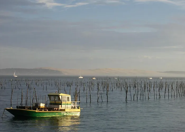 Apartment T2 35m2 Au Port D'arcachon Avec Balcon Et Parking Securise - Fr-1-420-28