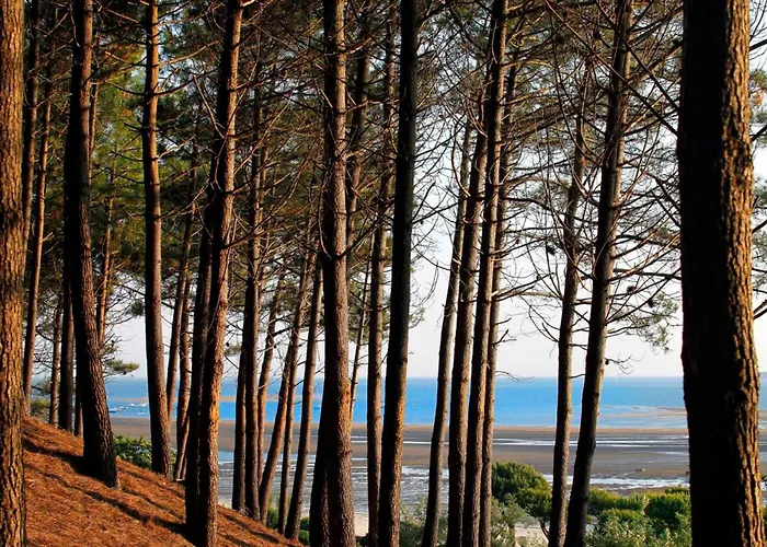 T2 35m2 Au Port D'arcachon Avec Balcon Et Parking Securise - Fr-1-420-28 Apartment Arcachon